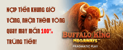 Hoàn Trả VIP Hàng Ngày promotion